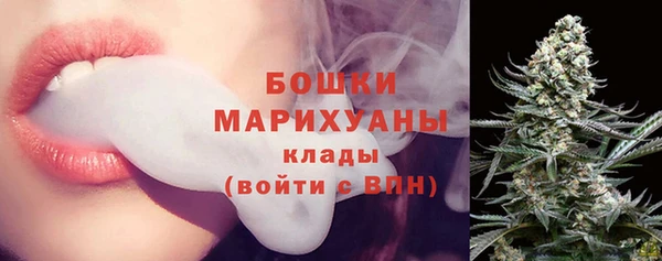 скорость Ладушкин