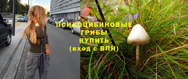 скорость Ладушкин