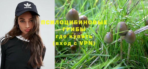 скорость Ладушкин