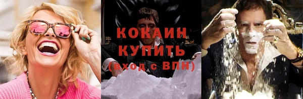 прущие грибы Кулебаки