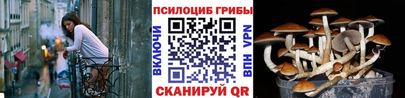 Галлюциногенные грибы Magic Shrooms Кисловодск