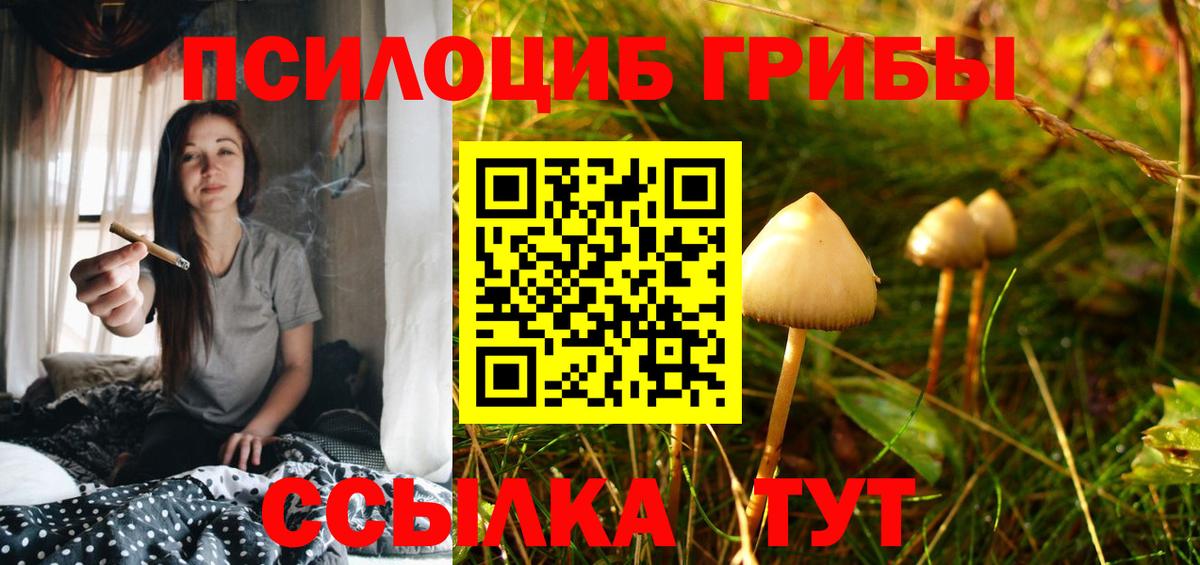 Псилоцибиновые грибы Psilocybine cubensis  Псилоцибиновые грибы Psilocybine cubensis  Вход с VPN  Кисловодск 