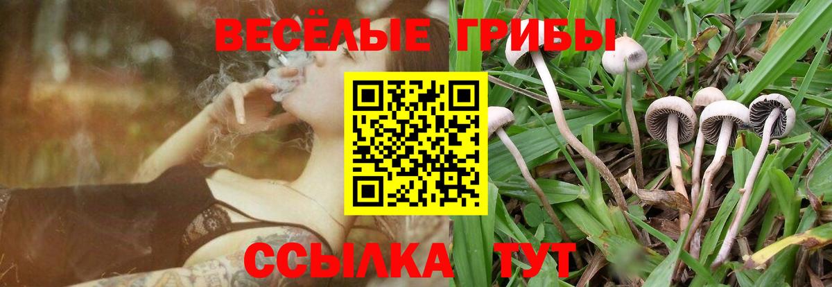 Гашиш  Конопля  A PVP СОЛЬ кристаллы  Экстази  Мефедрон   Гашиш  Кисловодск  Вход с VPN  КОКАИН  Где купить 